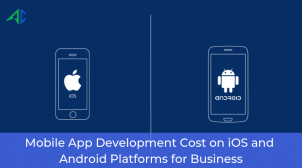app app