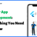 Flutter app development guide