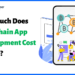 Understanding Blockchain Mobile App Development Costs