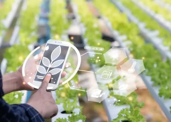 IoT in Smart Agriculture