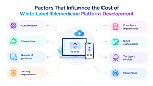 Factors of White Label Telemedicine Development Costs