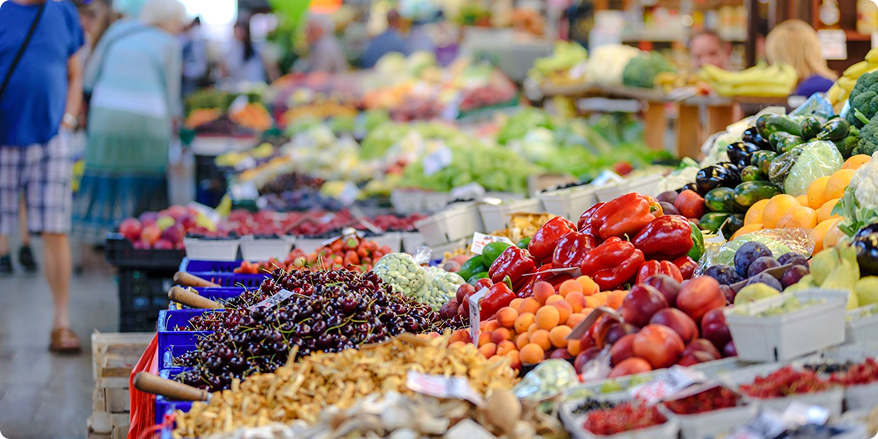 Farmers market cooperative connecting local producers with consumers